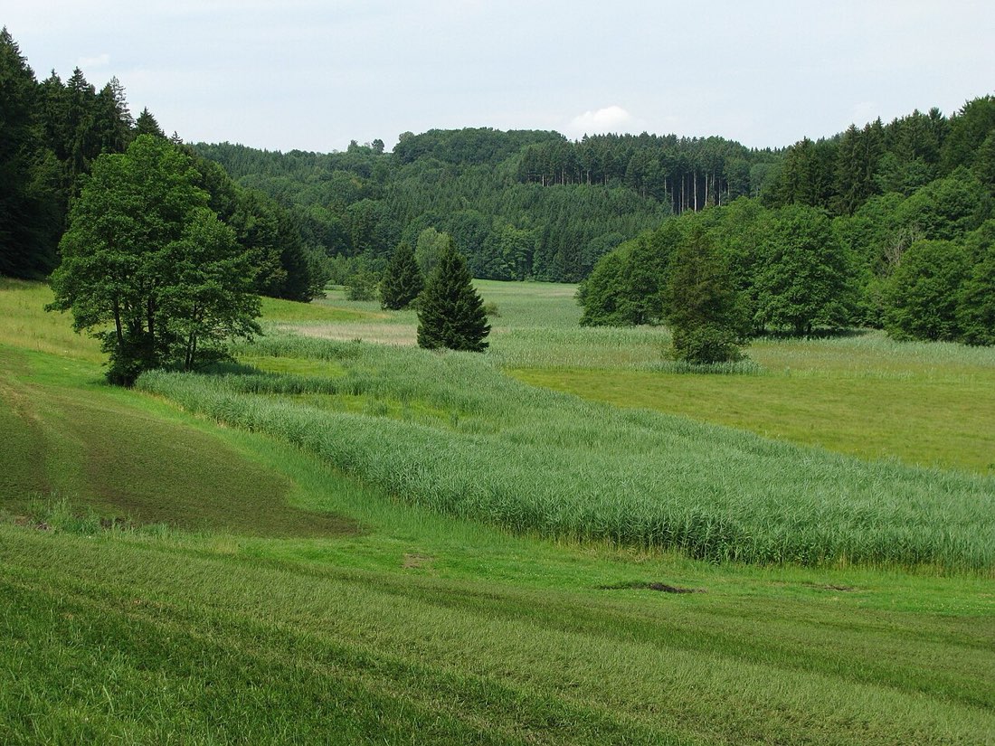 Kupferbachtal — Naturschutzgebiet bei Glonn